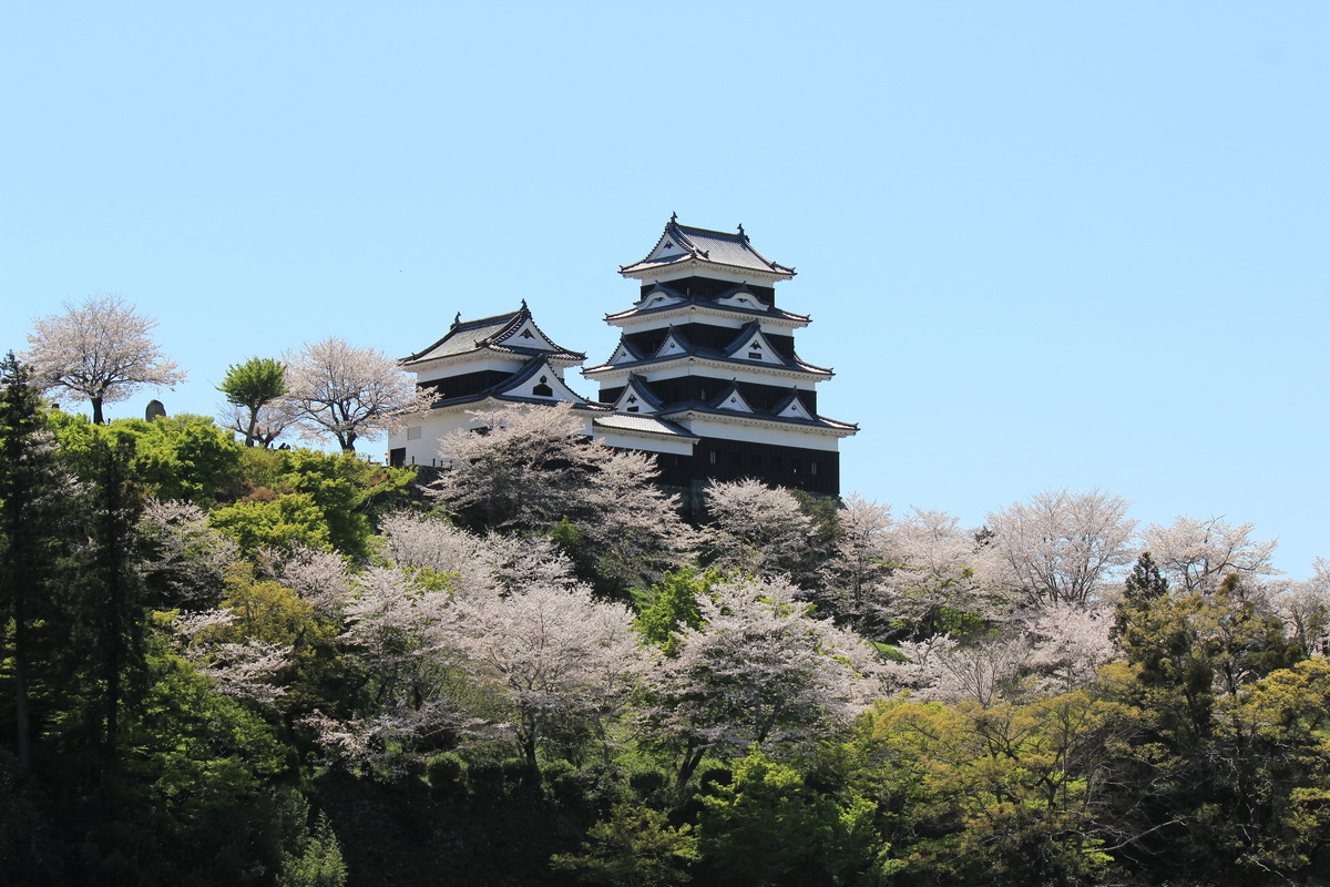 大洲城_肱川沿いから