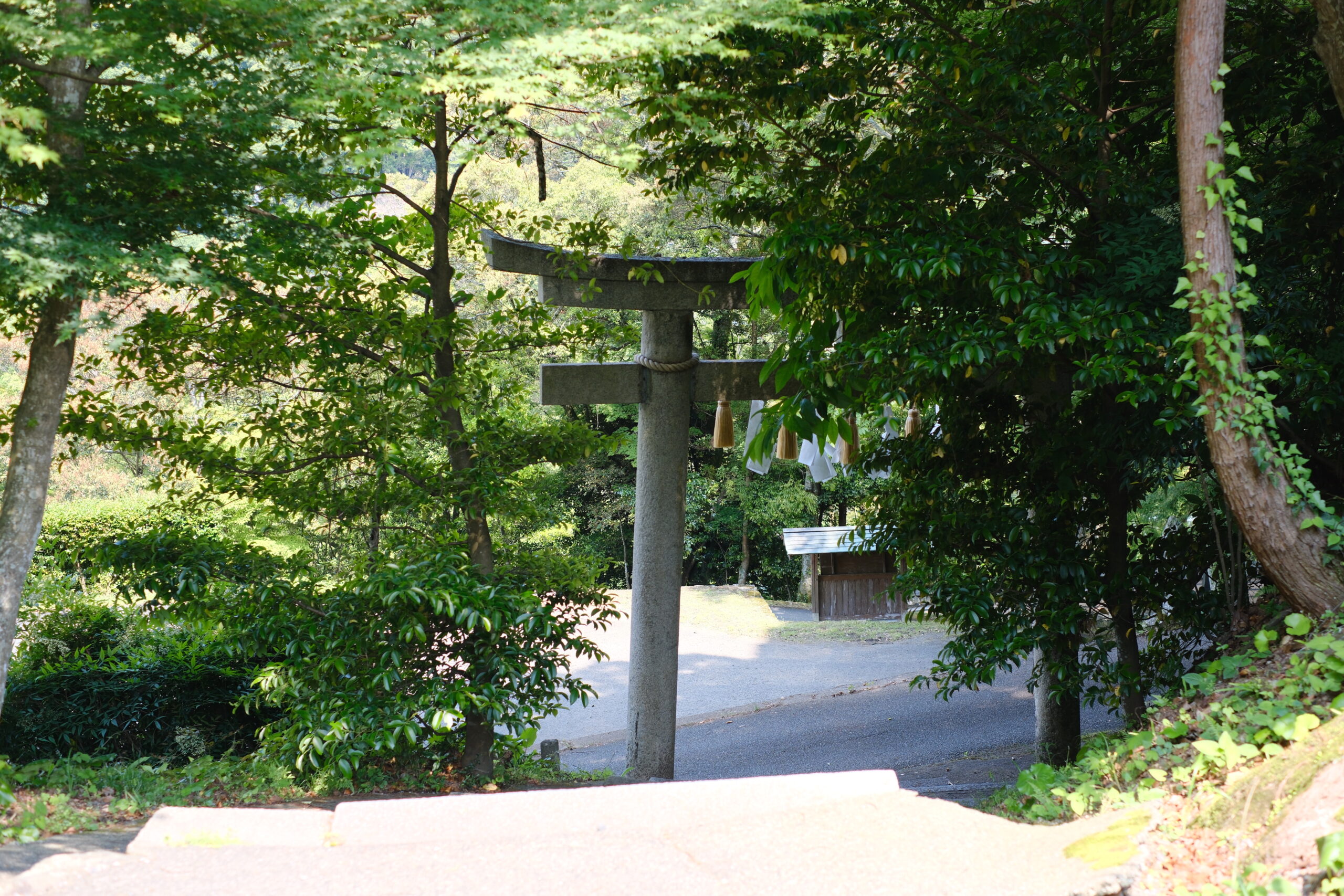 NIPPOANI HOTEL 大洲 城下町