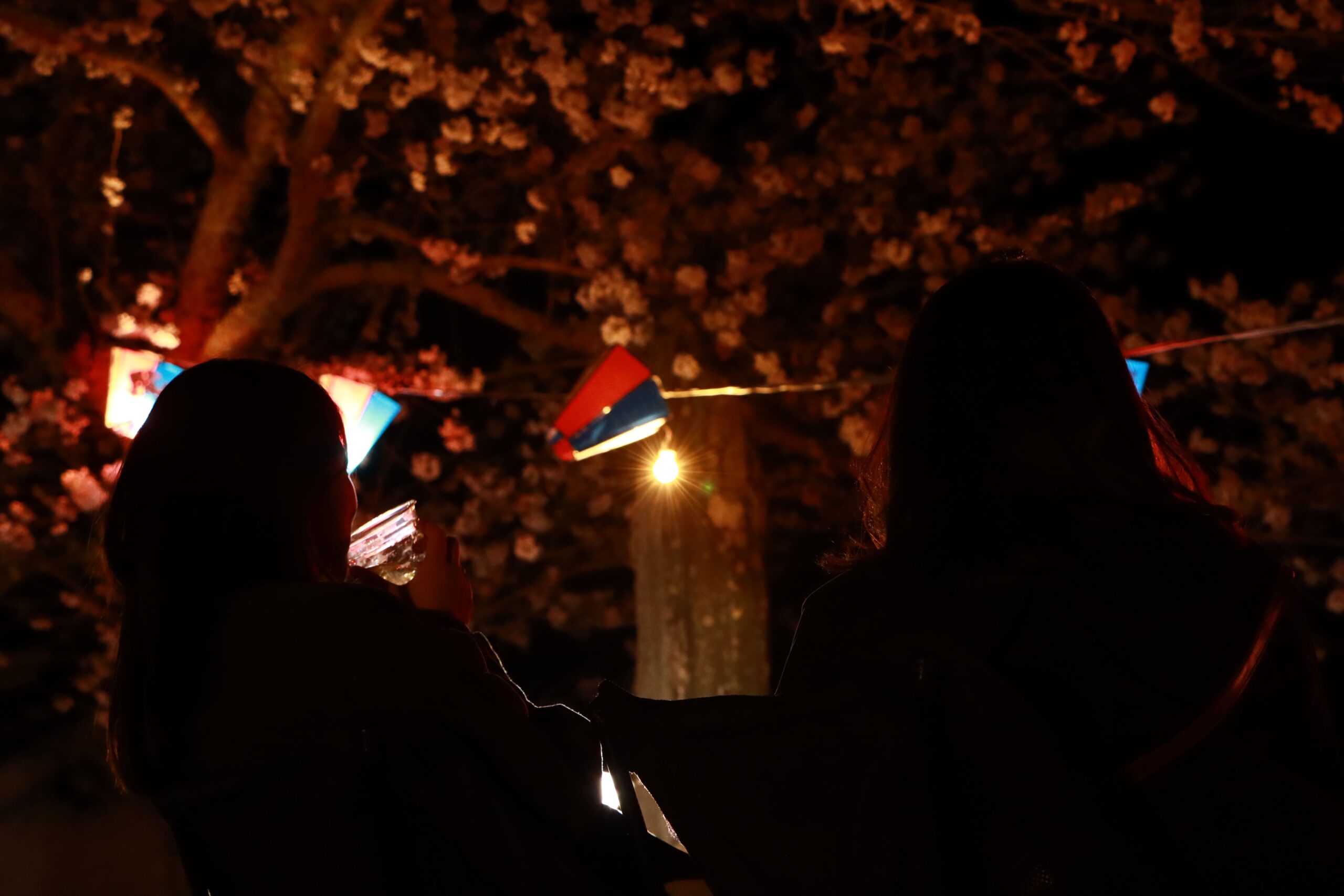 大洲城_夜桜マルシェ